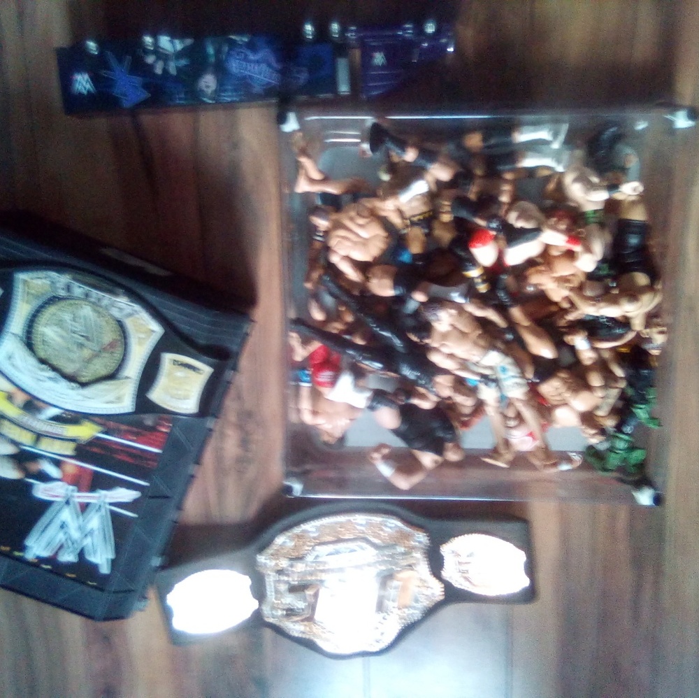 WWE & MMA